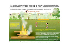 Как не допустить пожар в лесу Как не допустить пожар в лесу.